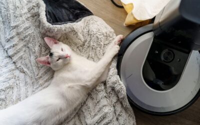 The Best Roomba Type Vacuums of 2026