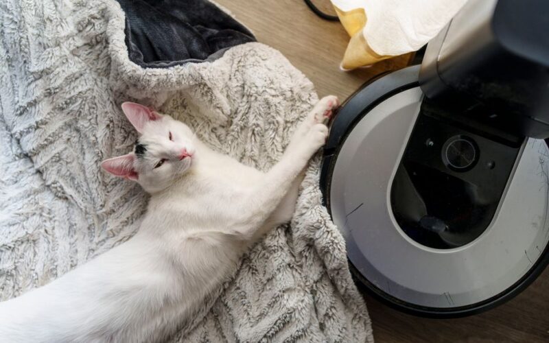 White cat peacefully resting by a vacuum on a cozy blanket.