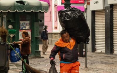 Best Bagged Vacuum Cleaner