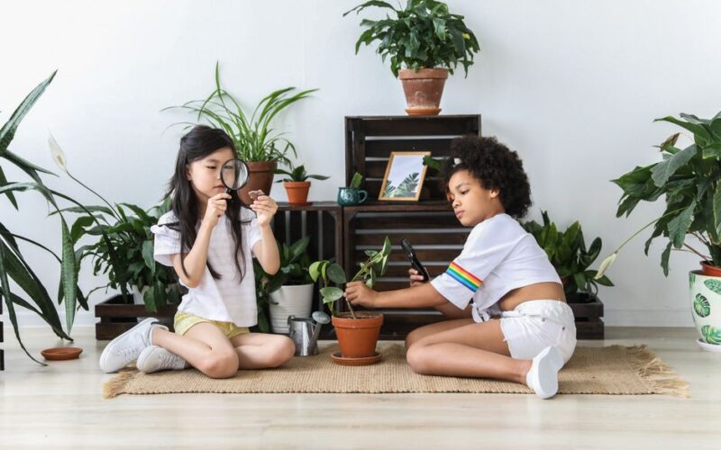 Diverse serious children with magnifier examining and watching potted plants on carpet in contemporary room
