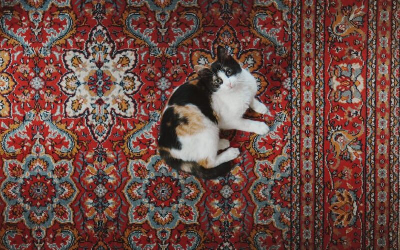 A calico cat lying on an intricate red Persian rug, viewed from above.