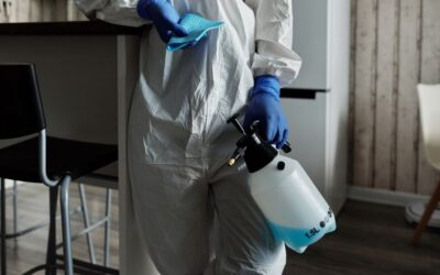 The Best Cannister Vacuums With Hepa Filters of 2026
