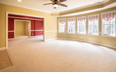 The Best Carpet Vacuums That Are Easy To Clean Reddit of 2026