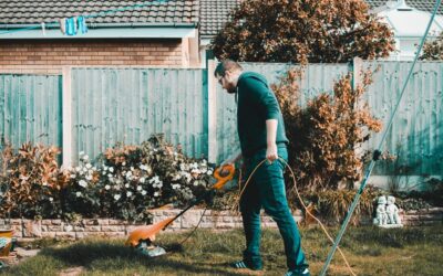 The best corded cordless vacuums of 2026