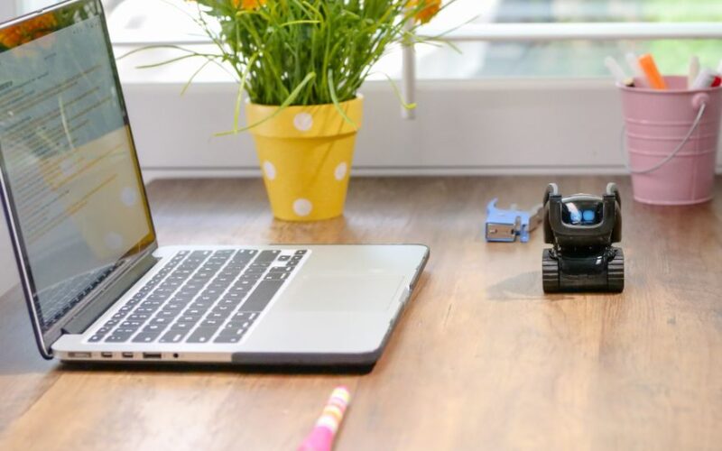 Stylish workspace featuring a laptop, toy robot, and vibrant flowers in natural light.