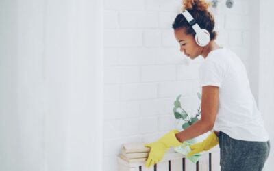 The Best Handheld Vacuums Canada of 2026