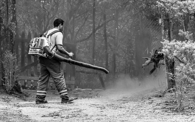 Black and white image of a man using a leaf blower, creating a dusty pathway in a forest setting.