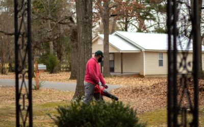 The Best Lawn Blower Vacuums of 2026
