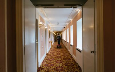The Best Loews Wet Dry Vacuums of 2026