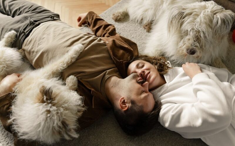 A couple cuddles on the carpet with their fluffy dogs in a cozy living room setting.
