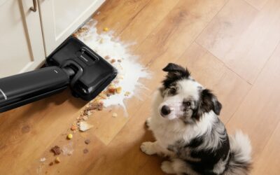 Best Robot Vacuums for Pet Hair and Multi-Level Homes Worth Buying in 2026