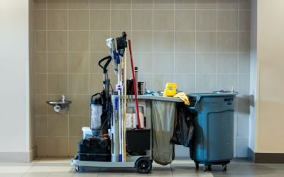The Best Shop Vacuums of 2026