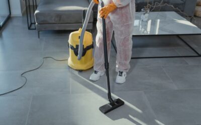 The Best Vacuums For Removing Mold From Furniture of 2026