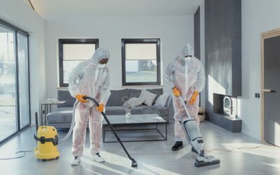 The Best Handheld Vacuums For Dust of 2026