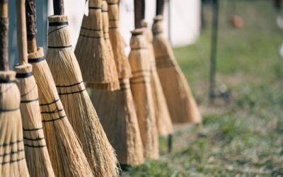 The Best Stick Vacuums Or Electric Brooms For Carpet of 2026