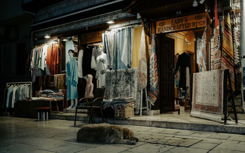 A quiet street at night showcasing a sleeping dog in front of a store selling handcrafted carpets and clothes.