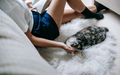 The Best Vacuums For Carpet Pets of 2026
