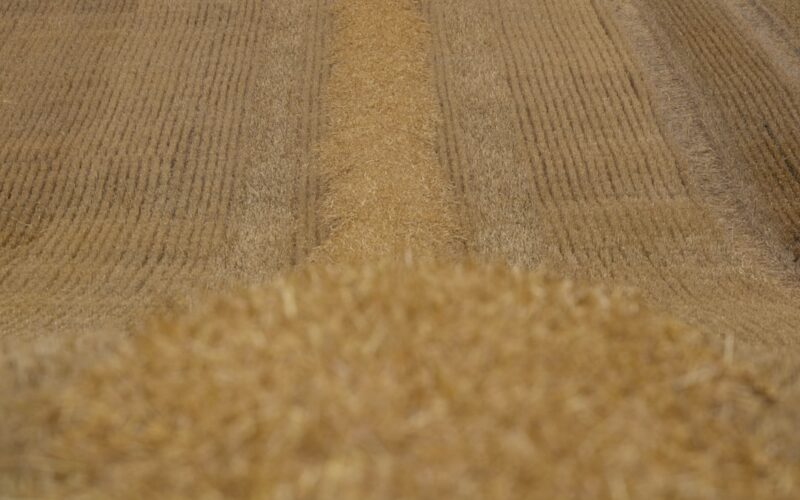 a close up of a rug