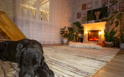 The Best Vacuums For Carpets And Pets of 2026