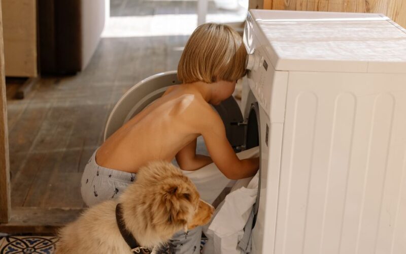 A young boy and an Australian shepherd playfully load laundry into a washing machine indoors.