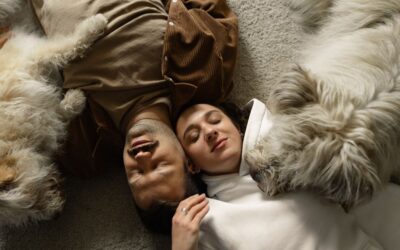 The Best Vacuums For Multiple Pets of 2026