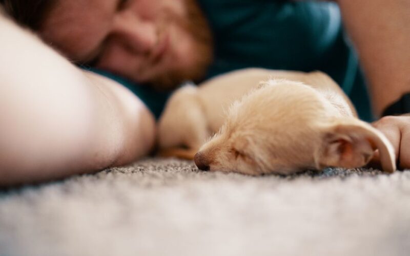 A man and a puppy sleeping peacefully together on a soft carpet indoors.