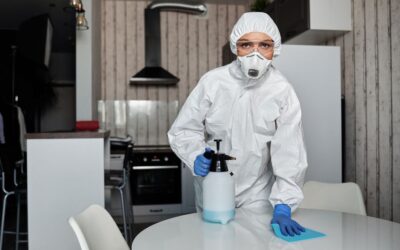The Best Vacuums For Professional Residential Cleaning of 2026