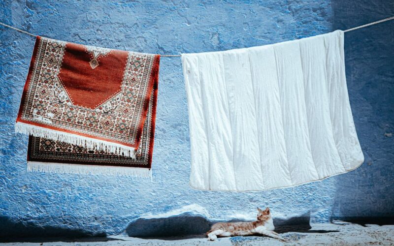 A serene scene of a cat relaxing under a hanging carpet and blanket on a blue wall.