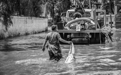 The Best Vacuums For Water Removal of 2026