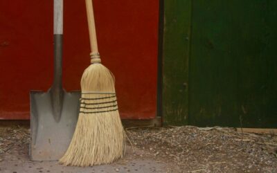 The Best Vacuums Lifehacker of 2026