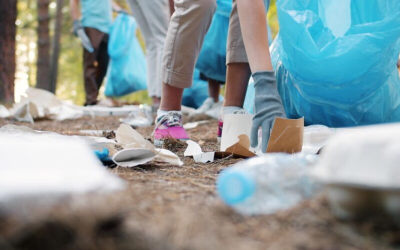 Volunteers cleaning forest area, picking up litter and sorting in bags.